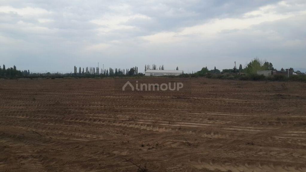 Terreno en Venta en Lujan de Cuyo, Mendoza