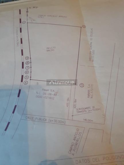 Terreno en Venta en Lujan de Cuyo, Mendoza