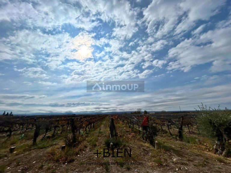 Finca en Venta en Tupungato, Mendoza