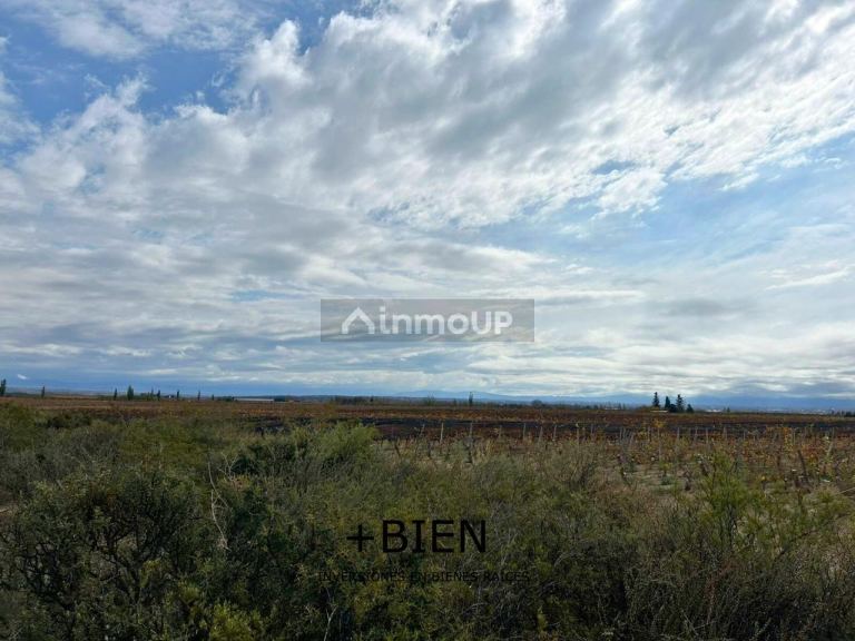 Finca en Venta en Tupungato, Mendoza