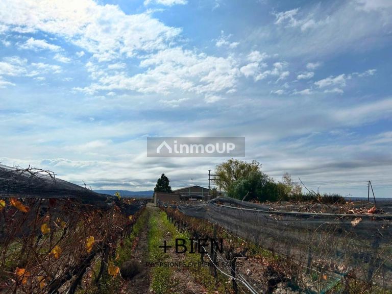 Finca en Venta en Tupungato, Mendoza