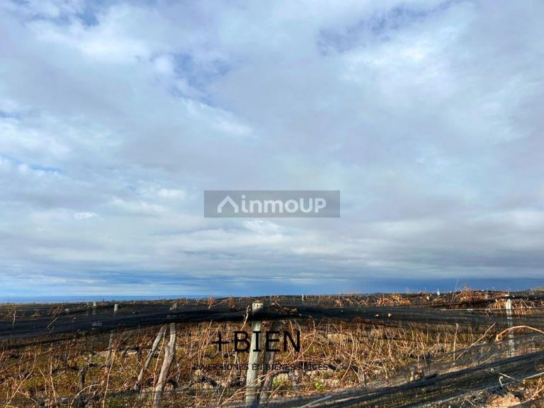 Finca en Venta en Tupungato, Mendoza