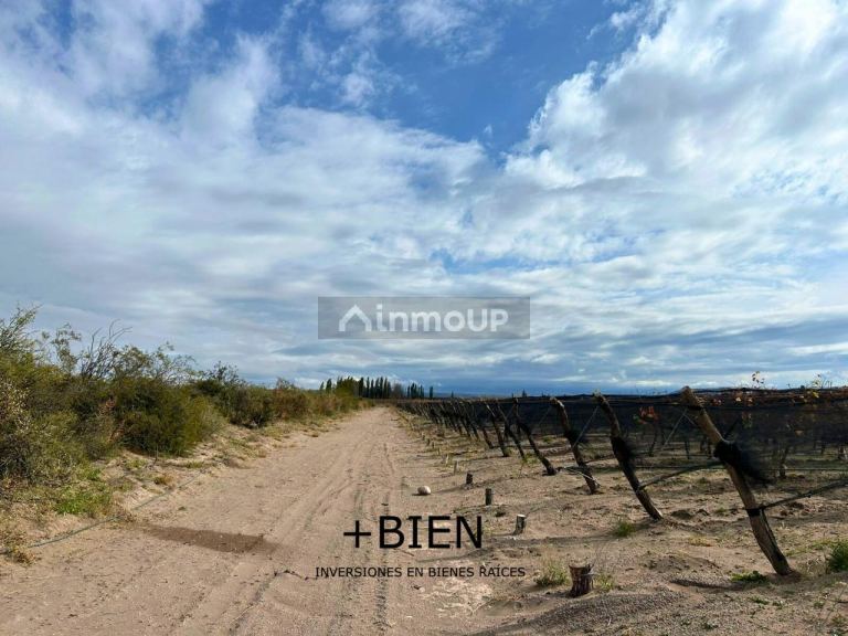 Finca en Venta en Tupungato, Mendoza