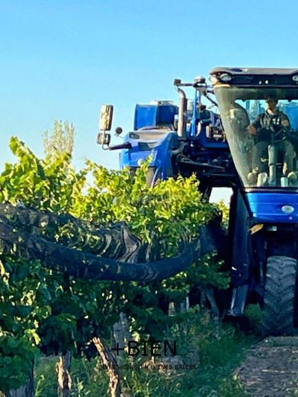 Finca en Venta en Lujan de Cuyo, Mendoza
