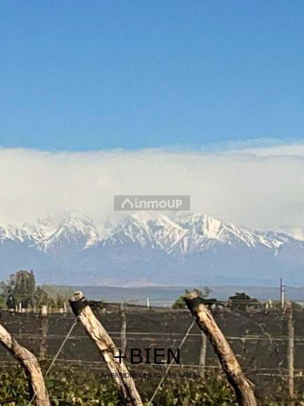 Finca en Venta en Lujan de Cuyo, Mendoza