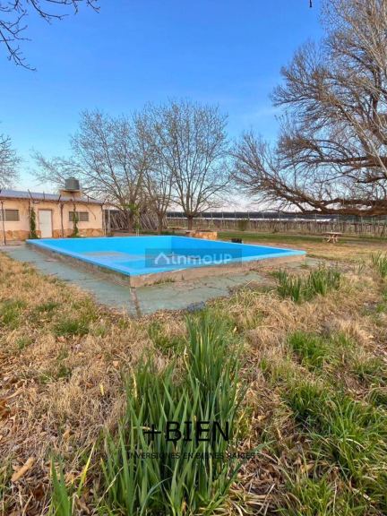 Finca en Venta en Lujan de Cuyo, Mendoza