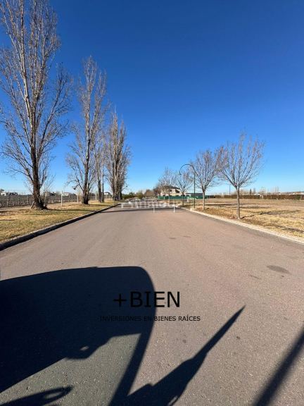 Loteo en Venta en Lujan de Cuyo, Mendoza
