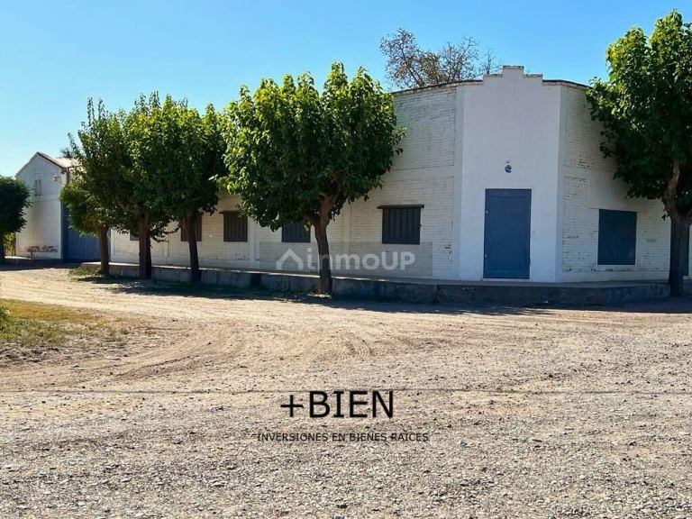 Finca en Venta en Junin, Mendoza