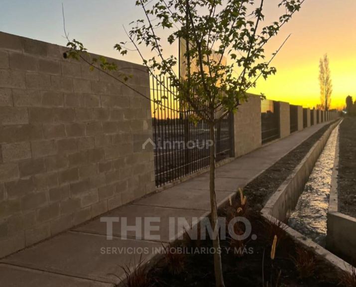 Lote en Venta en Lujan de Cuyo, Mendoza