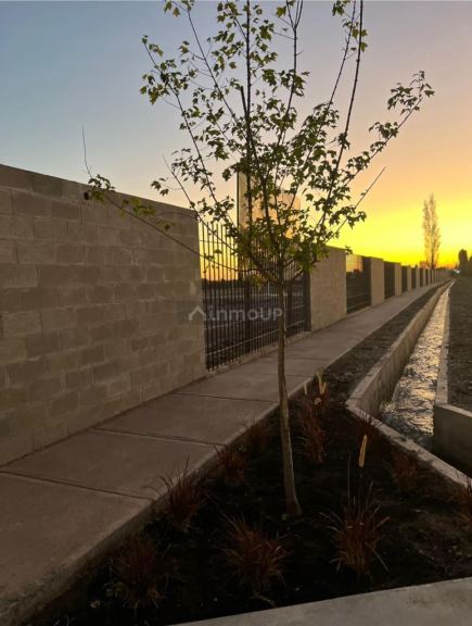 Lote en Venta en Lujan de Cuyo, Mendoza