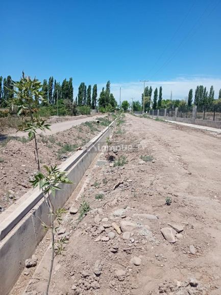 Lote en Venta en Lujan de Cuyo, Mendoza