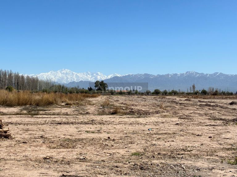 Lote en Venta en Lujan de Cuyo, Mendoza