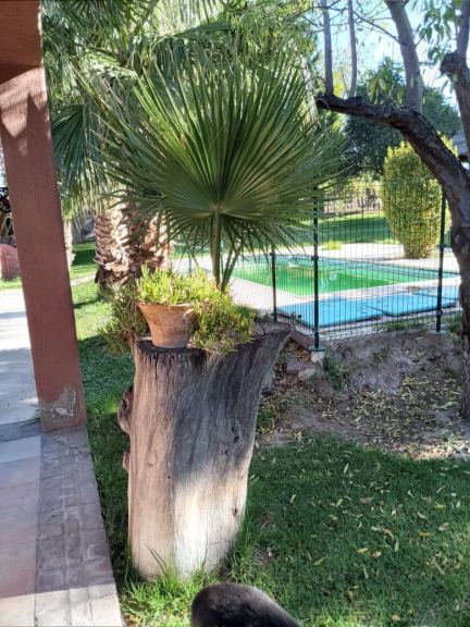 Casa Quinta en Venta en Las Heras, Mendoza