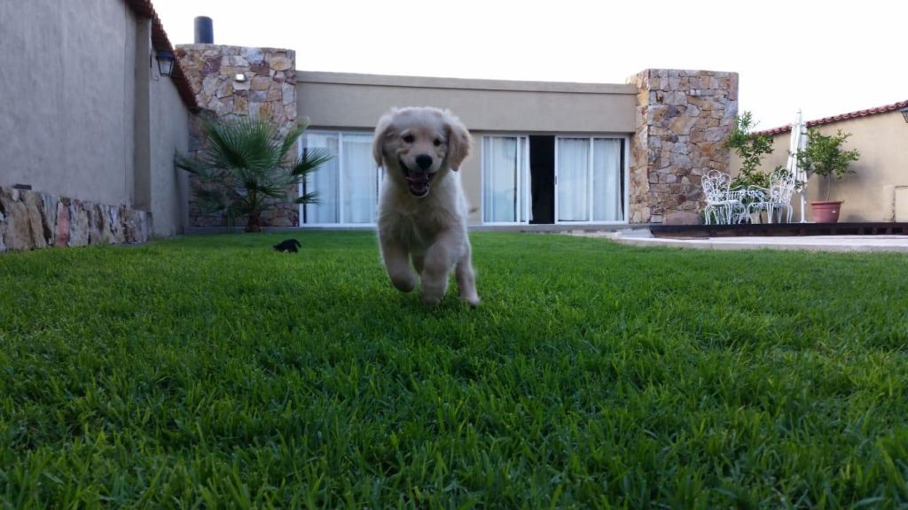 Casa en Venta en Las Heras, Mendoza