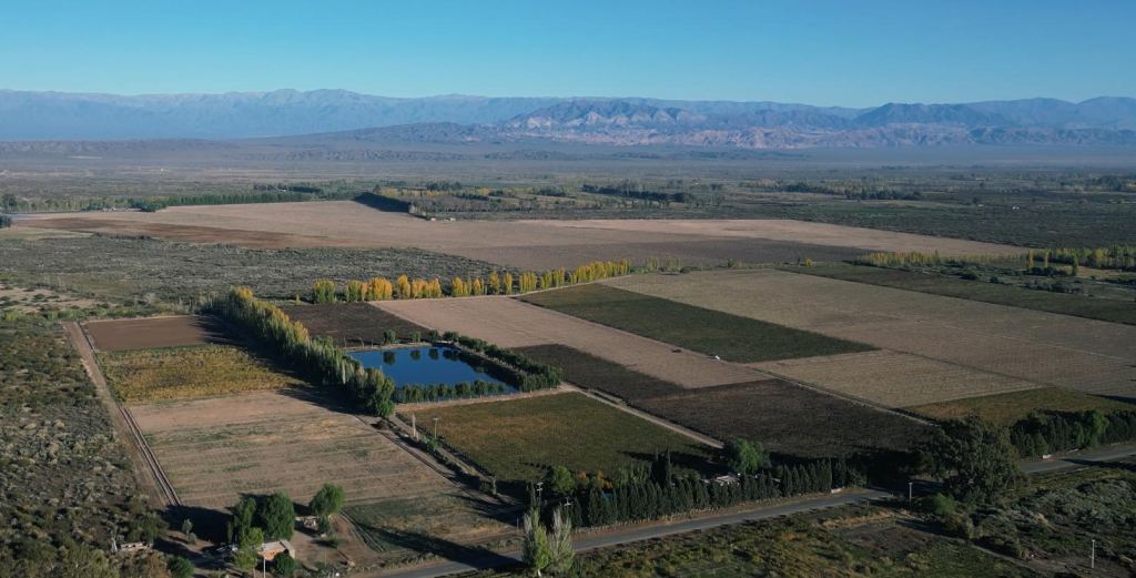 Finca en Venta en Lavalle, Mendoza