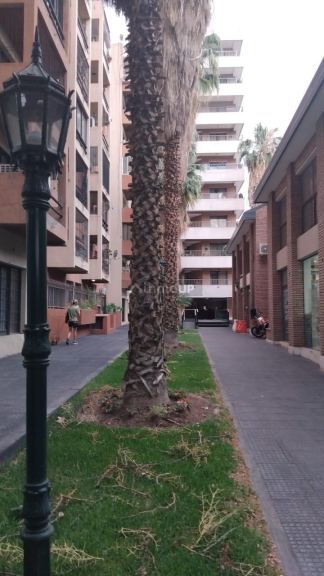 Departamento en Alquiler en Godoy Cruz, Mendoza