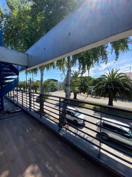 Departamento en Venta en Mar del Plata, Buenos Aires Costa Atlantica