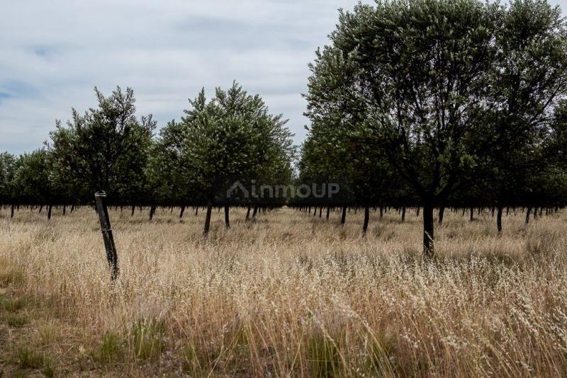 Campo en Venta en Bahia Blanca, Buenos Aires Interior