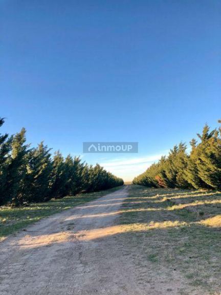Campo en Venta en Bahia Blanca, Buenos Aires Interior