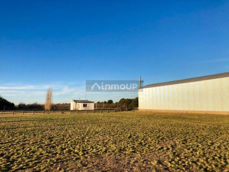 Campo en Venta en Bahia Blanca, Buenos Aires Interior