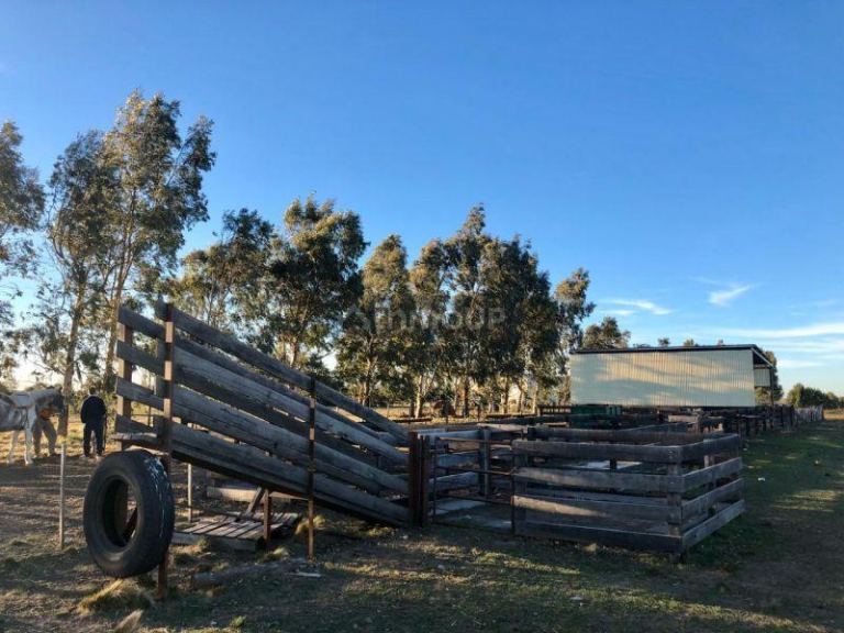 Campo en Venta en Bahia Blanca, Buenos Aires Interior