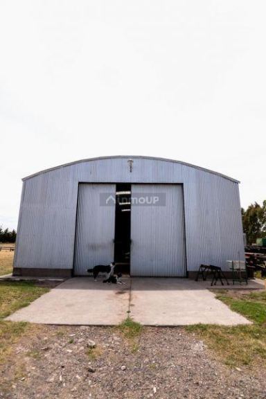 Campo en Venta en Bahia Blanca, Buenos Aires Interior