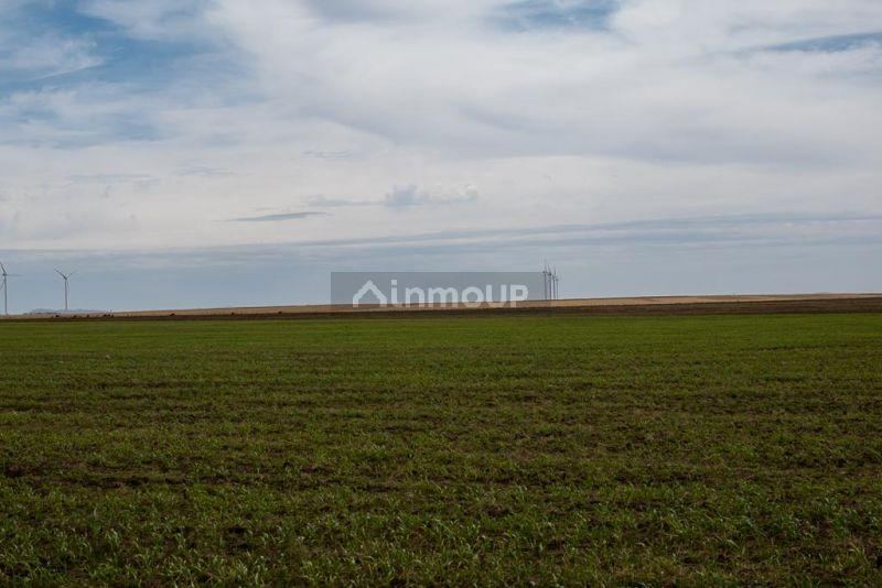 Campo en Venta en Bahia Blanca, Buenos Aires Interior