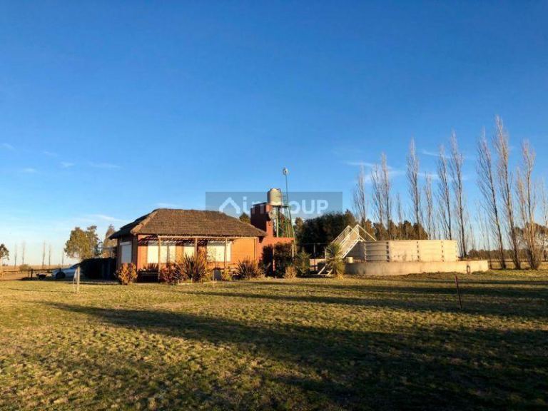 Campo en Venta en Bahia Blanca, Buenos Aires Interior