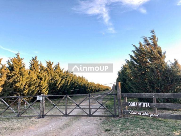 Campo en Venta en Bahia Blanca, Buenos Aires Interior