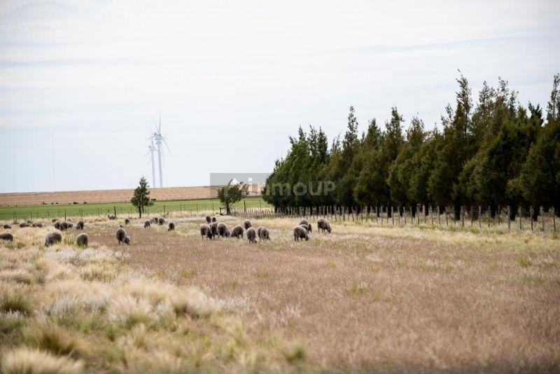 Campo en Venta en Bahia Blanca, Buenos Aires Interior