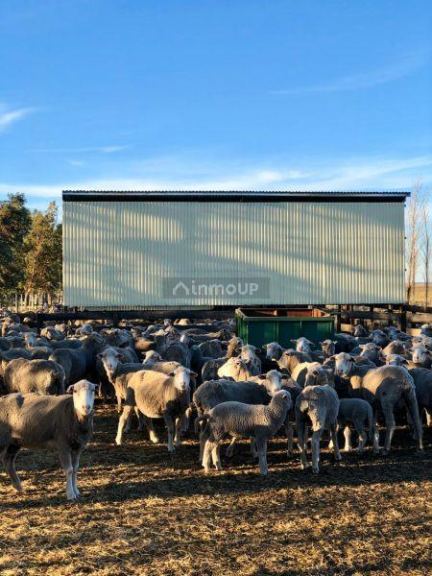 Campo en Venta en Bahia Blanca, Buenos Aires Interior
