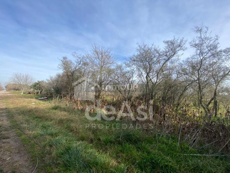 Campo en Venta en Magdalena, Buenos Aires Interior