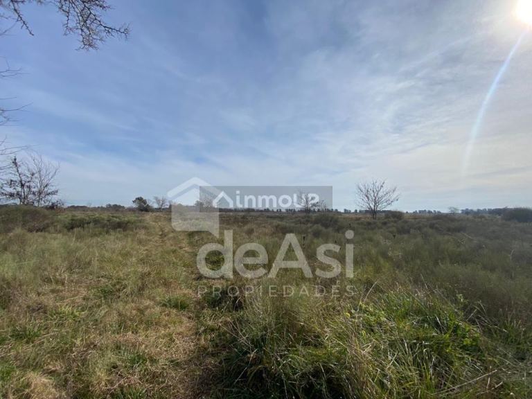 Campo en Venta en Magdalena, Buenos Aires Interior