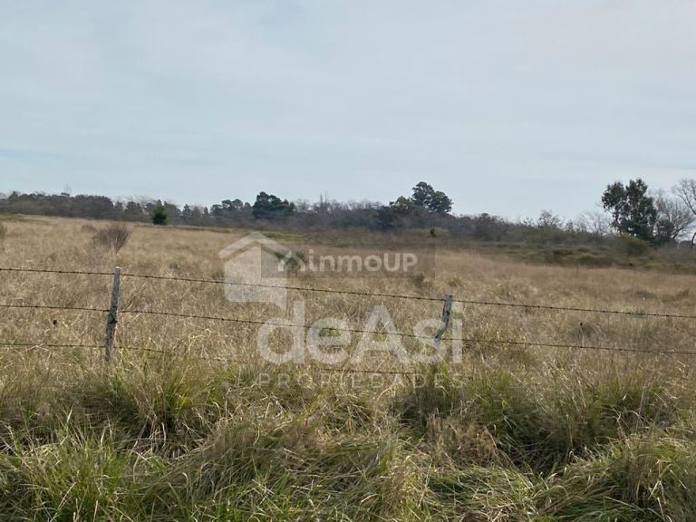 Campo en Venta en Magdalena, Buenos Aires Interior