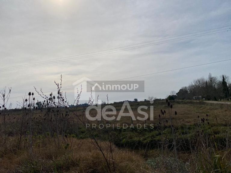 Campo en Venta en Magdalena, Buenos Aires Interior