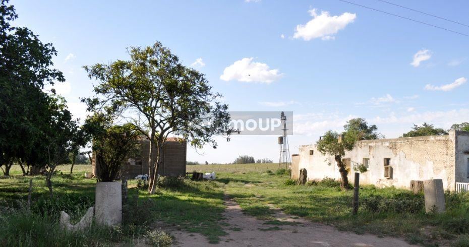 Quinta en Venta en Balcarce, Buenos Aires Interior