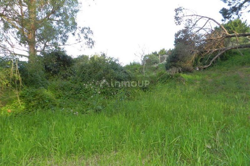 Lote en Venta en Pinamar, Buenos Aires Costa Atlantica