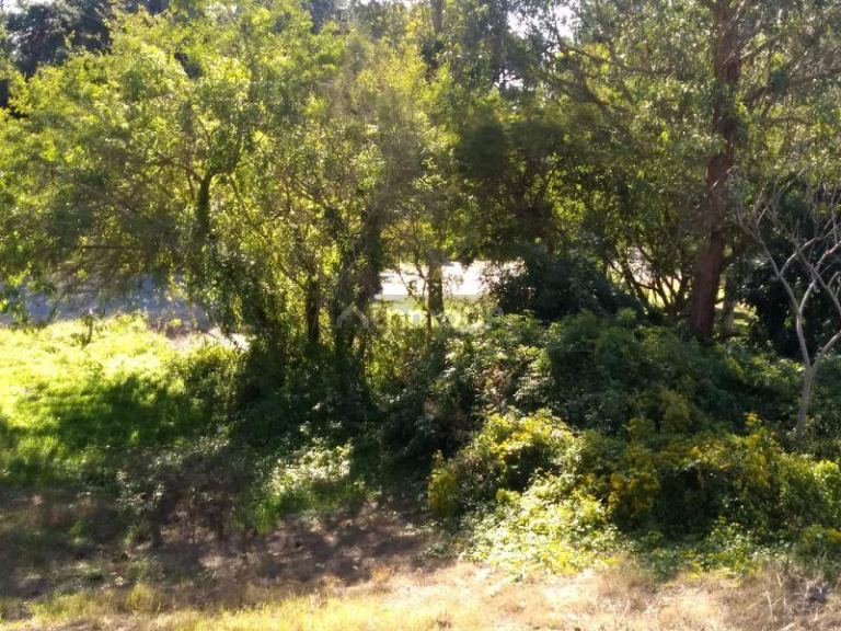 Lote en Venta en Pinamar, Buenos Aires Costa Atlantica