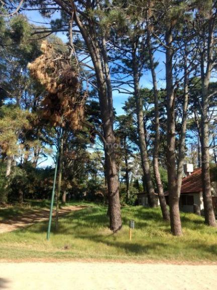 Lote en Venta en Pinamar, Buenos Aires Costa Atlantica