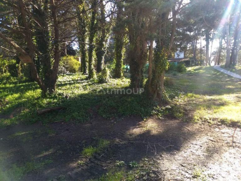 Lote en Venta en Pinamar, Buenos Aires Costa Atlantica