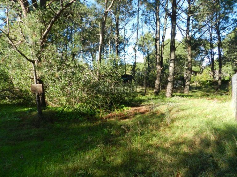 Lote en Venta en Pinamar, Buenos Aires Costa Atlantica