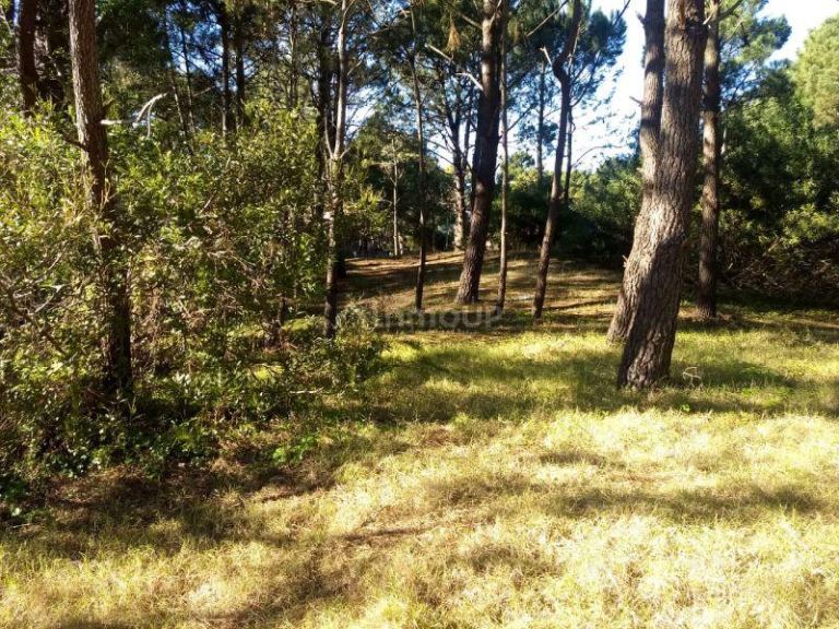 Lote en Venta en Pinamar, Buenos Aires Costa Atlantica
