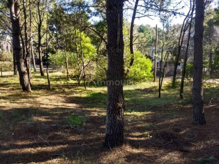 Lote en Venta en Pinamar, Buenos Aires Costa Atlantica