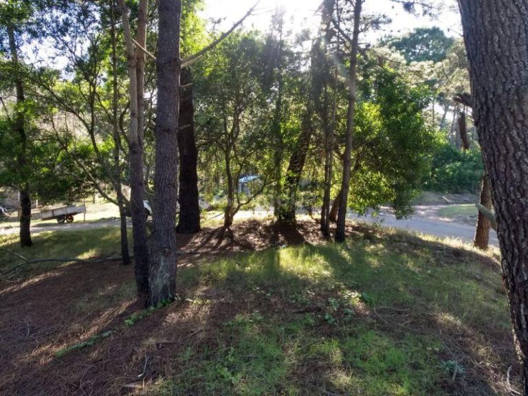 Lote en Venta en Pinamar, Buenos Aires Costa Atlantica