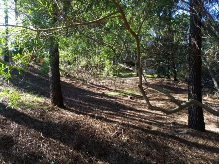 Lote en Venta en Pinamar, Buenos Aires Costa Atlantica