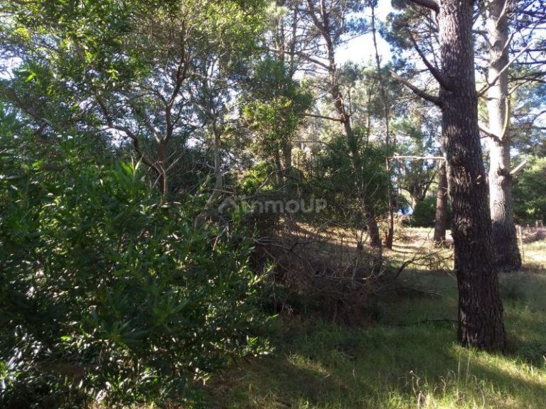Lote en Venta en Pinamar, Buenos Aires Costa Atlantica