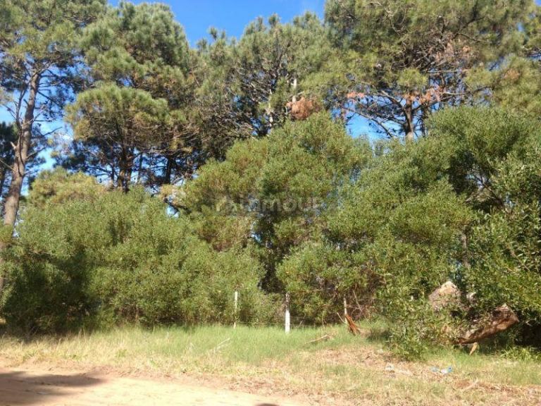 Lote en Venta en Pinamar, Buenos Aires Costa Atlantica