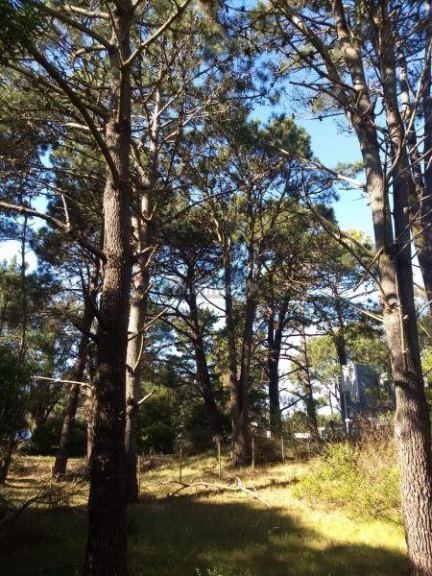 Lote en Venta en Pinamar, Buenos Aires Costa Atlantica