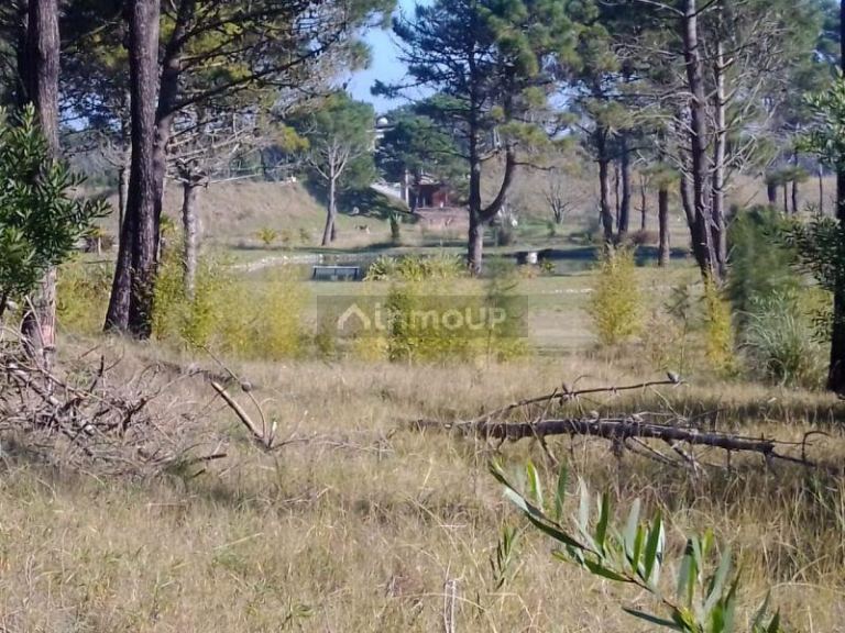 Lote en Venta en Pinamar, Buenos Aires Costa Atlantica