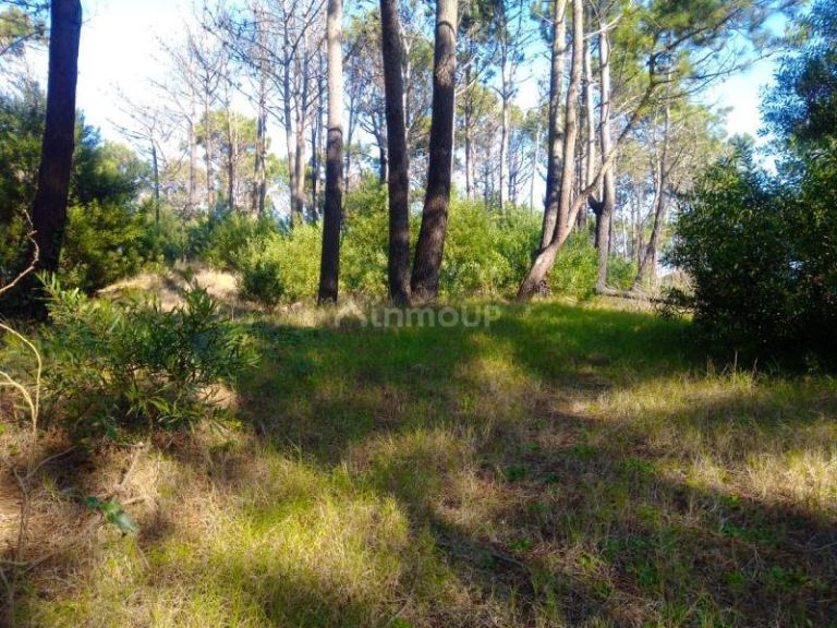 Lote en Venta en Pinamar, Buenos Aires Costa Atlantica